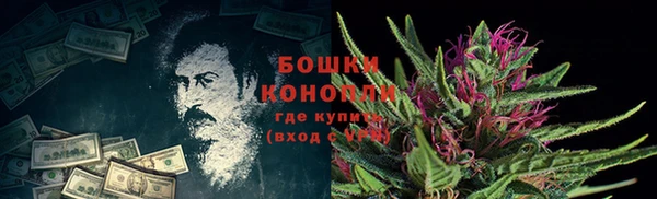 крисы Бронницы