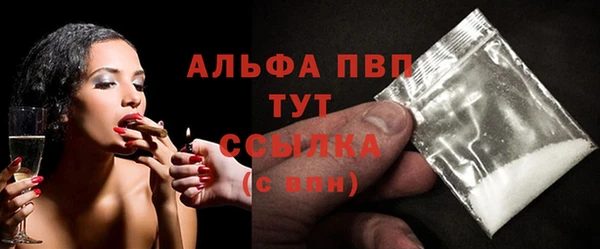 стафф Бородино