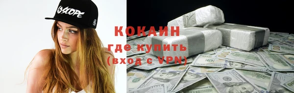 крисы Бронницы