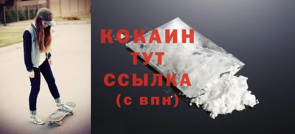 стафф Бородино