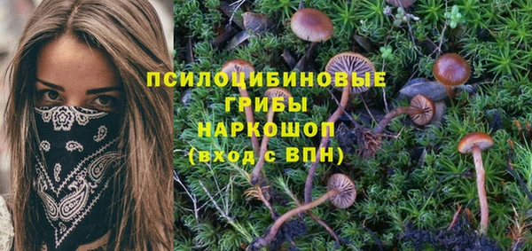 крисы Бронницы