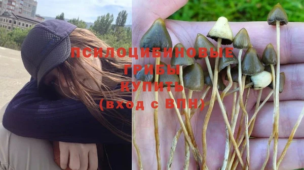 a pvp Бугульма