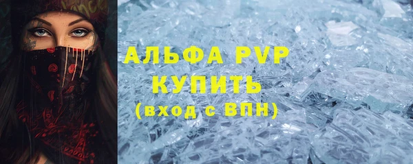 стафф Бородино